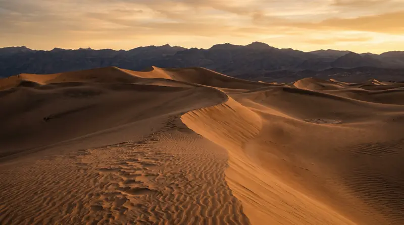Wind-carved sand dunes in Death Valley raked by golden hour light and deep shadow