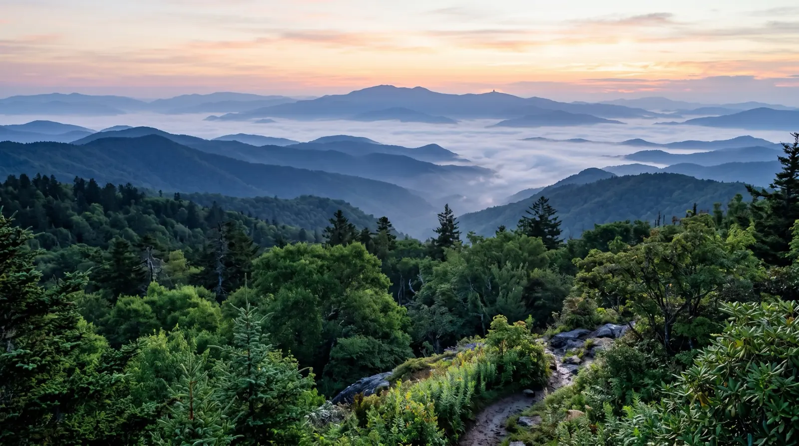 Layered blue ridgelines of the Great Smoky Mountains with fog filling the valleys at dawn